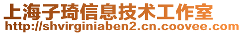 上海子琦信息技術(shù)工作室