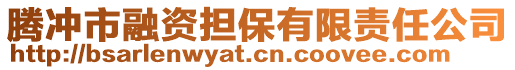 騰沖市融資擔(dān)保有限責(zé)任公司