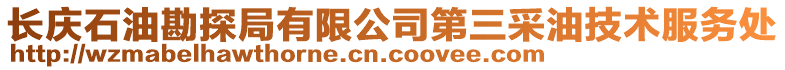 長慶石油勘探局有限公司第三采油技術服務處