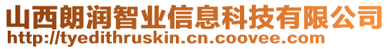 山西朗潤智業(yè)信息科技有限公司