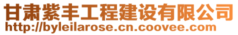 甘肅紫豐工程建設(shè)有限公司