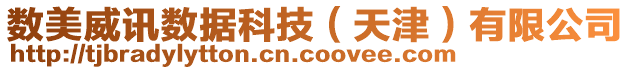 數(shù)美威訊數(shù)據(jù)科技(天津)有限公司