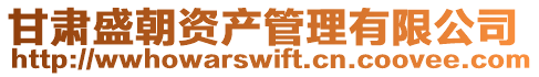 甘肅盛朝資產管理有限公司