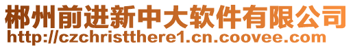 郴州前進(jìn)新中大軟件有限公司