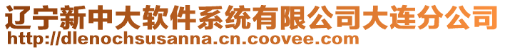 遼寧新中大軟件系統(tǒng)有限公司大連分公司