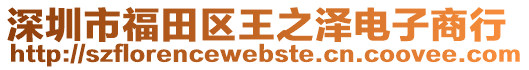 深圳市福田區(qū)王之澤電子商行