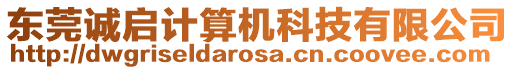 東莞誠(chéng)啟計(jì)算機(jī)科技有限公司