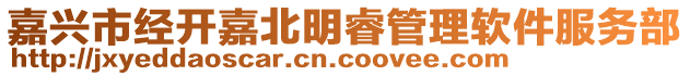 嘉興市經開嘉北明睿管理軟件服務部