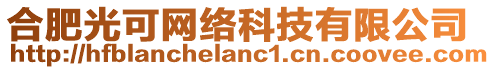 合肥光可網(wǎng)絡(luò)科技有限公司