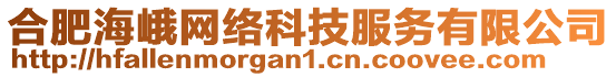 合肥海峨網(wǎng)絡(luò)科技服務(wù)有限公司