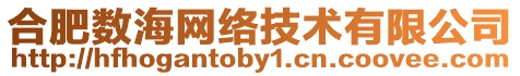 合肥數(shù)海網(wǎng)絡(luò)技術(shù)有限公司