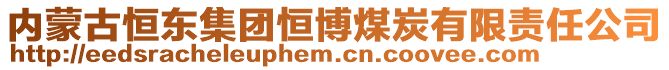 內(nèi)蒙古恒東集團恒博煤炭有限責任公司