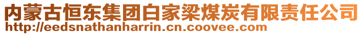 內蒙古恒東集團白家梁煤炭有限責任公司
