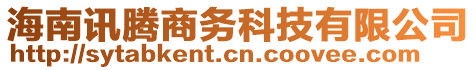 海南訊騰商務科技有限公司
