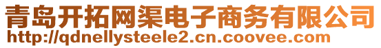 青島開拓網渠電子商務有限公司