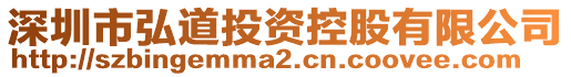 深圳市弘道投資控股有限公司