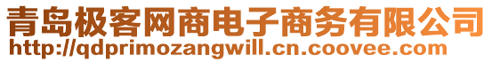 青島極客網商電子商務有限公司