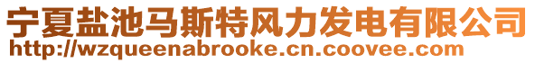 寧夏鹽池馬斯特風力發電有限公司