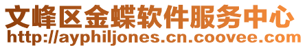 文峰區金蝶軟件服務中心