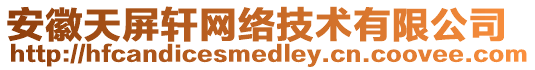 安徽天屏軒網絡技術有限公司