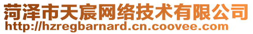 菏澤市天宸網(wǎng)絡(luò)技術(shù)有限公司