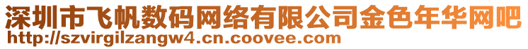 深圳市飛帆數碼網絡有限公司金色年華網吧