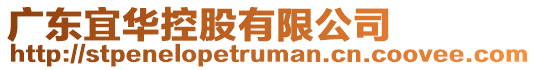 廣東宜華控股有限公司
