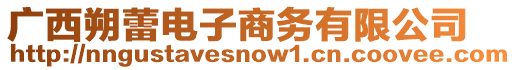 廣西朔蕾電子商務(wù)有限公司