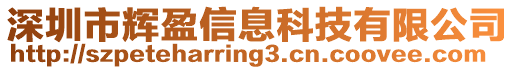 深圳市輝盈信息科技有限公司