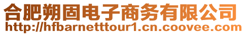 合肥朔固電子商務有限公司