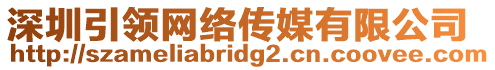 深圳引領網絡傳媒有限公司