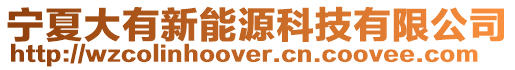 寧夏大有新能源科技有限公司