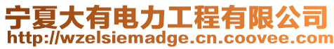 寧夏大有電力工程有限公司