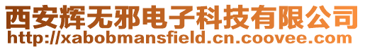 西安輝無邪電子科技有限公司