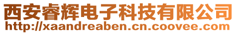 西安睿輝電子科技有限公司