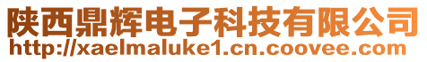 陜西鼎輝電子科技有限公司