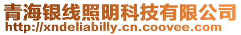 青海銀線照明科技有限公司
