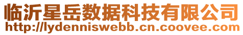 臨沂星岳數據科技有限公司