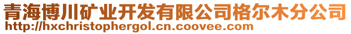 青海博川礦業開發有限公司格爾木分公司