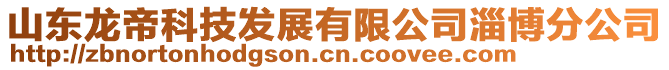 山東龍帝科技發(fā)展有限公司淄博分公司