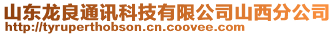 山東龍良通訊科技有限公司山西分公司