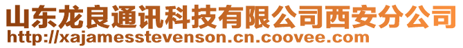 山東龍良通訊科技有限公司西安分公司