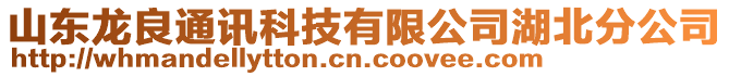 山東龍良通訊科技有限公司湖北分公司