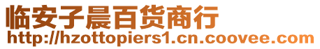 臨安子晨百貨商行