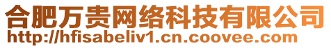 合肥萬貴網(wǎng)絡(luò)科技有限公司