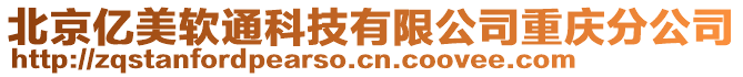 北京億美軟通科技有限公司重慶分公司