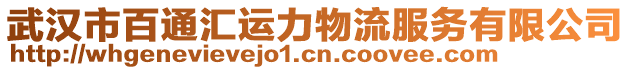 武漢市百通匯運力物流服務有限公司