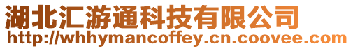 湖北匯游通科技有限公司