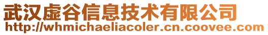 武漢虛谷信息技術有限公司