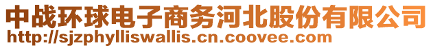 中戰(zhàn)環(huán)球電子商務(wù)河北股份有限公司